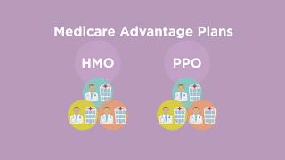 Medicare Supplement and Advantage Plans